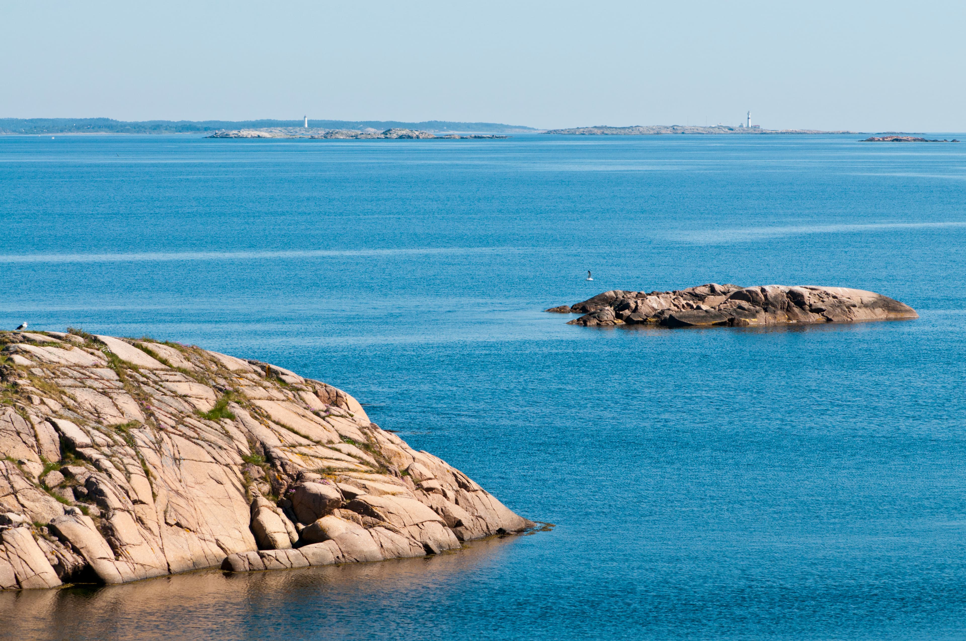Grønt kystlandskap med sjø og natur på Tromøya
